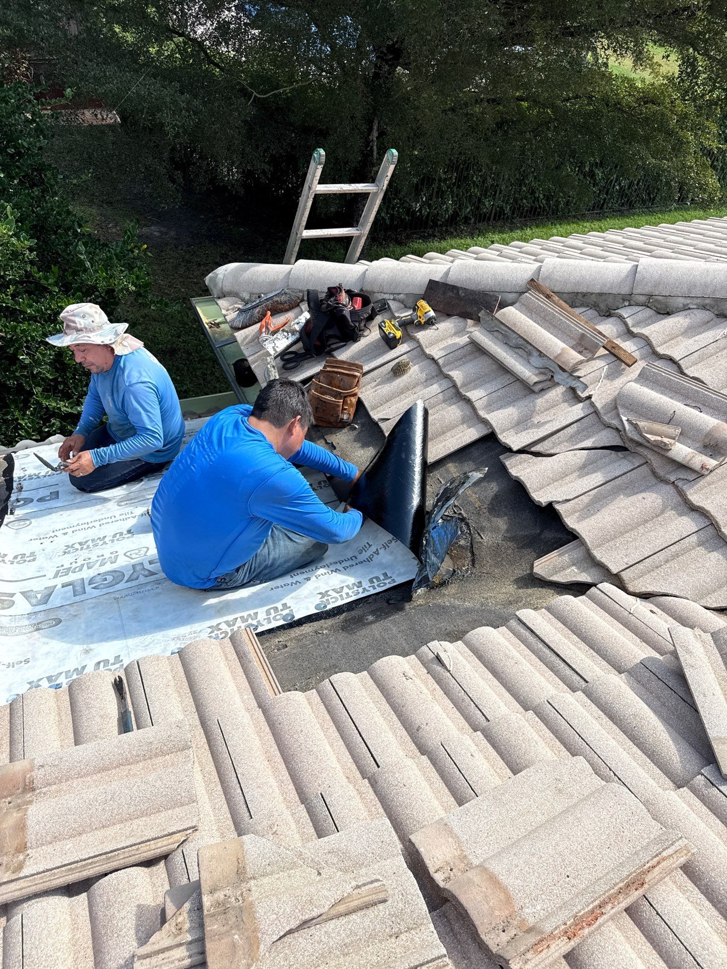 Imagen principal de Sky Restoration & Construction